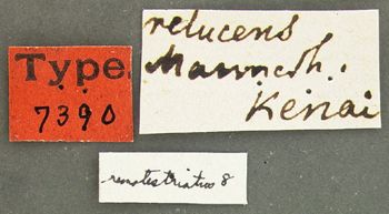 Media type: image;   Entomology 7390 Aspect: labels